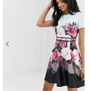 Ted Baker Wilmana magnificent floral skater dress size 2 nwot